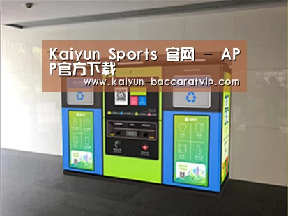 成功案例标题四