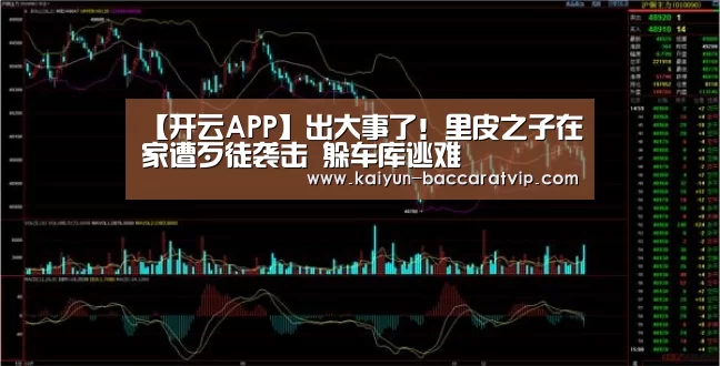 开云APP